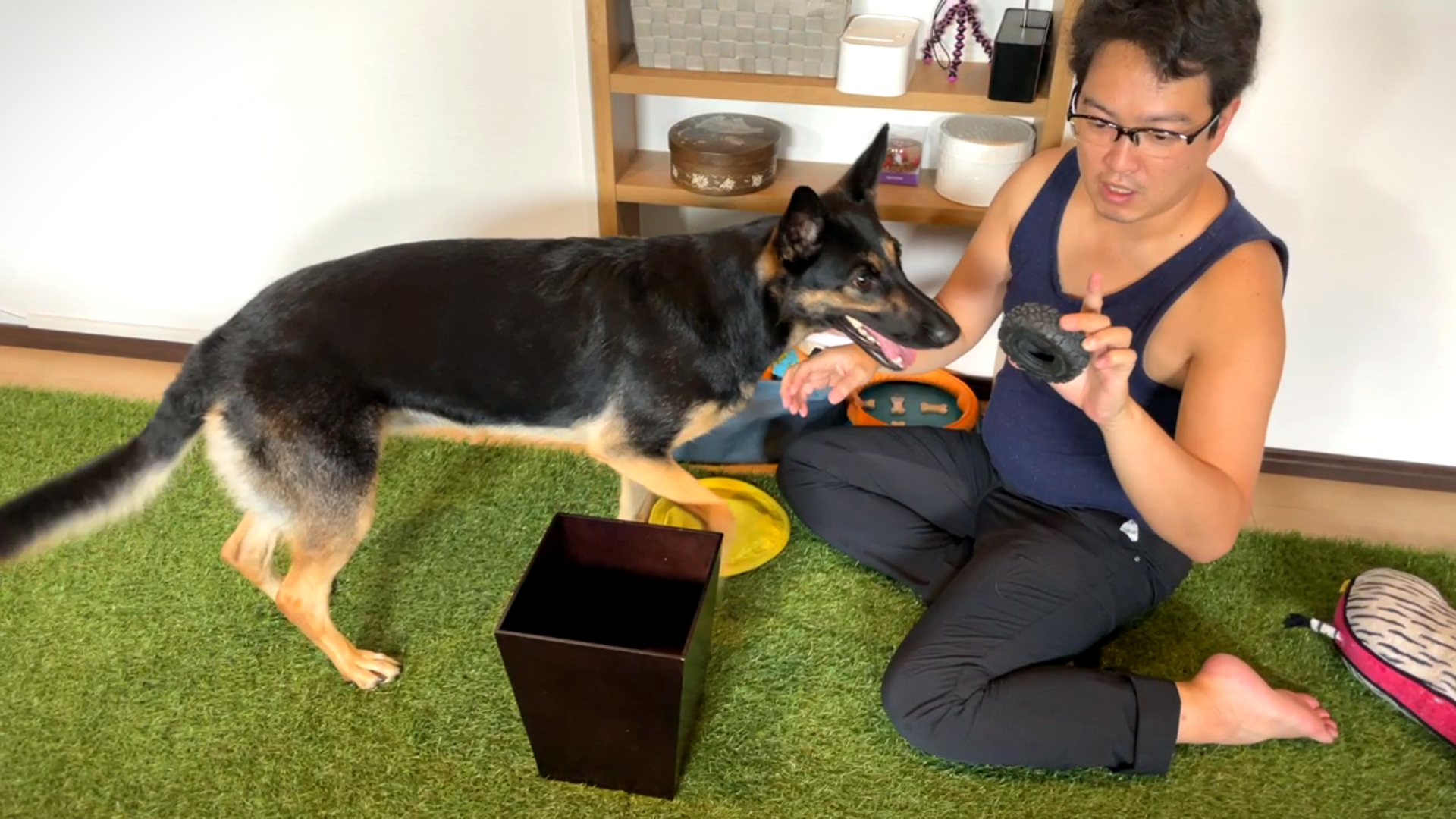 くくちゃ@断捨離中 お値引対応可能！のお品物です。 愛犬のおもちゃを断捨離します！【完結編】 | 維桜さんブログ