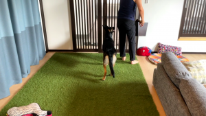 りみ　おもちゃ断捨離中様 りみ おもちゃ断捨離中様