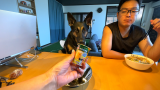 ちゅ るタワーなるおやつをあげたら食べずに飲んだ犬 維桜さんブログ