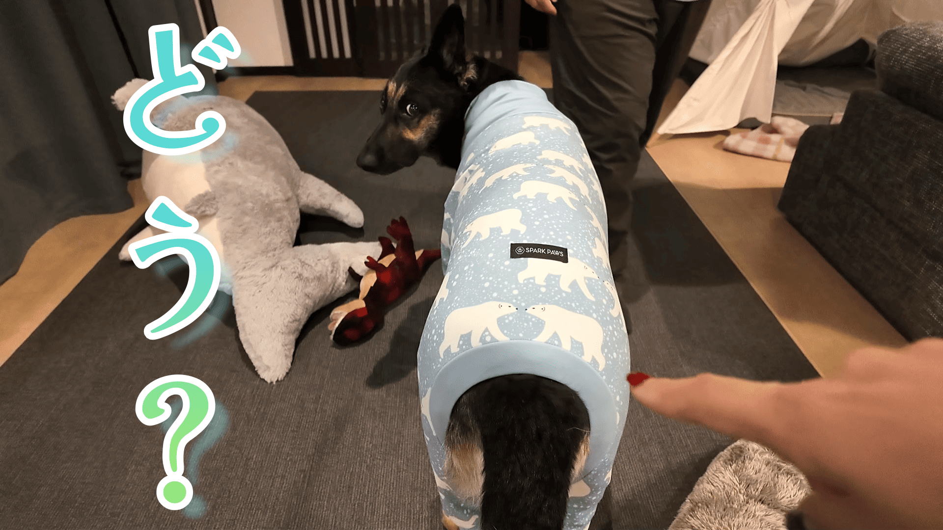 インスタ専用ブーケ Amazon | インスタネット コード付き・Sサイズ・プラハンドル