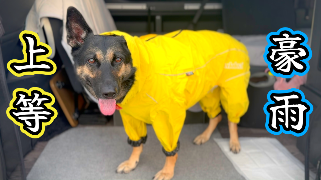 完全防水】rukkaの愛犬用レインコートが想像以上にスゴかった！ | 維桜