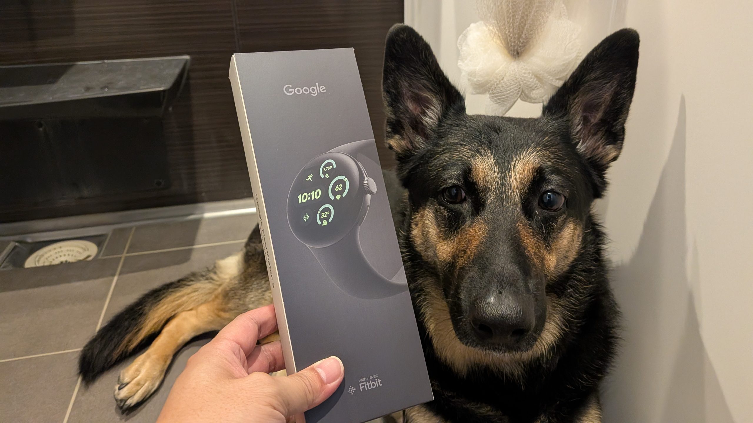 ★Free! まとめ売り Free! 商品まとめ売り37点 ZXまとめて取引ok様 リクエスト 3点